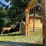 Agroturystka Cicha Strzała * Dubiecko